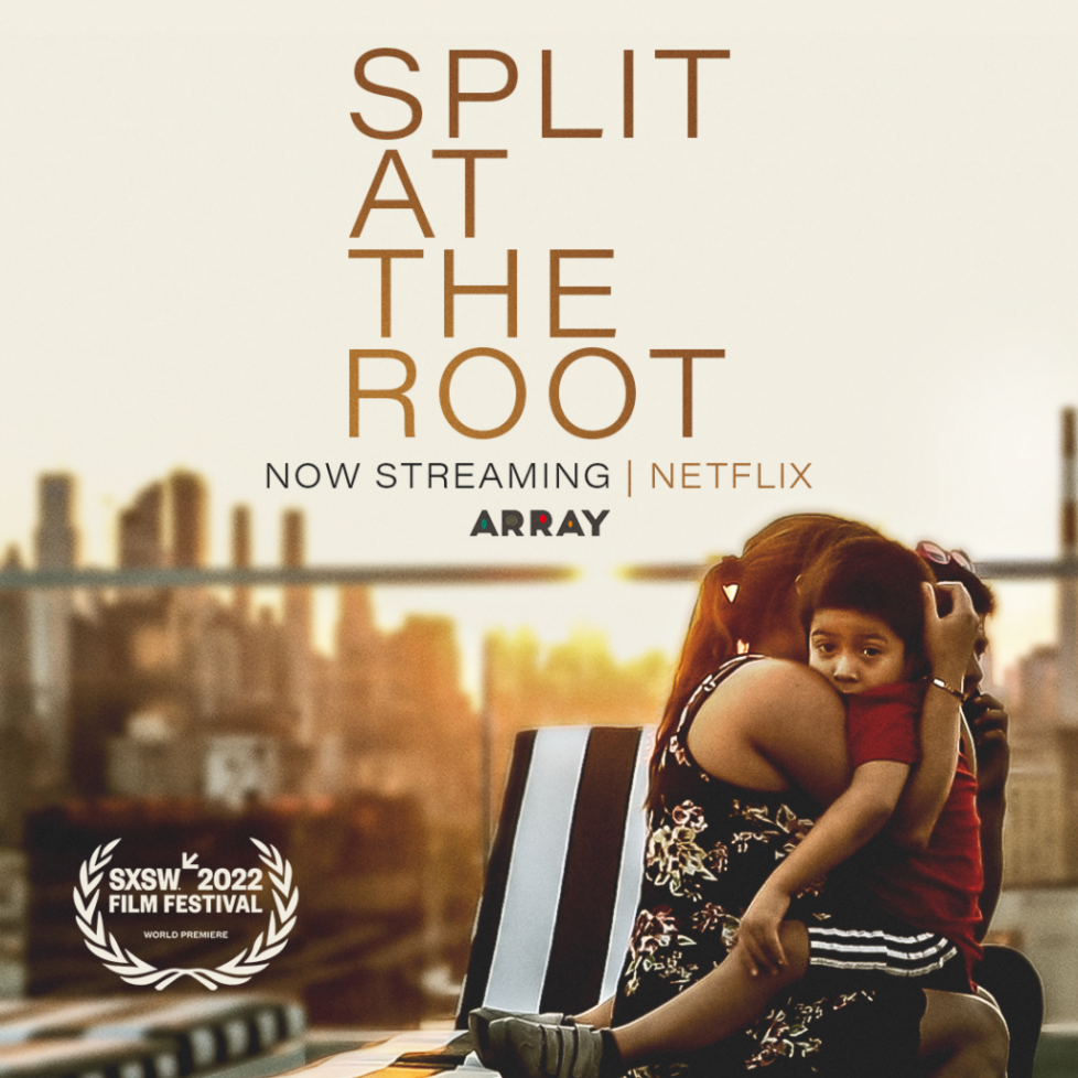 Split at the root movie